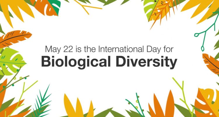 International Day for Biological Diversity