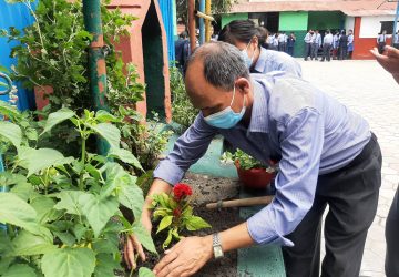 Environment Day Observed