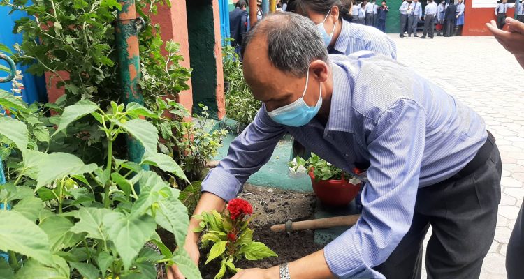 Environment Day Observed