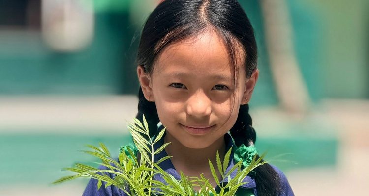 Green Club Launches Two-Day Plantation Program at Angel Lord Academy